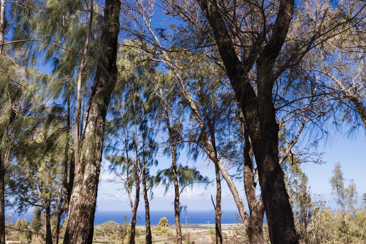 Lumeria Maui, Educational Retreat Center Makawao Zewnętrze zdjęcie